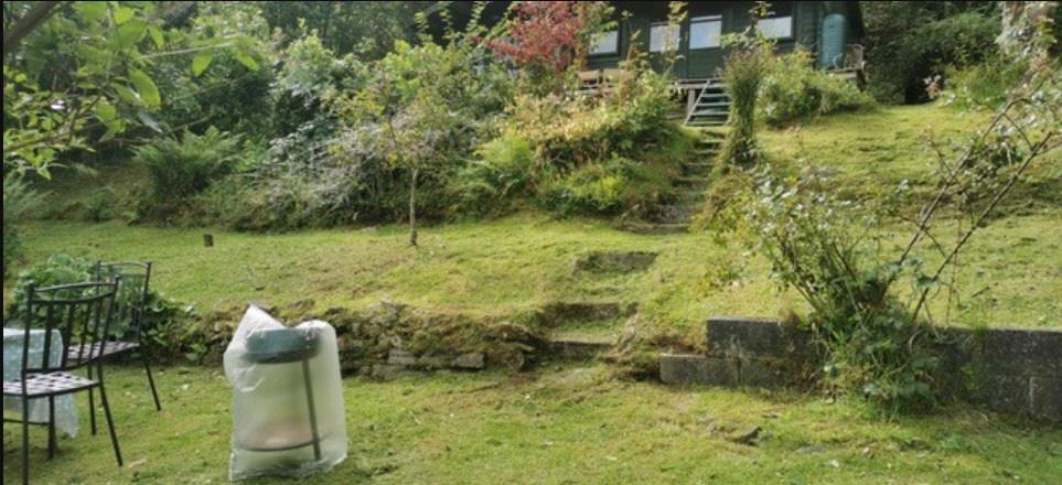 Garden view to cabin.jpg