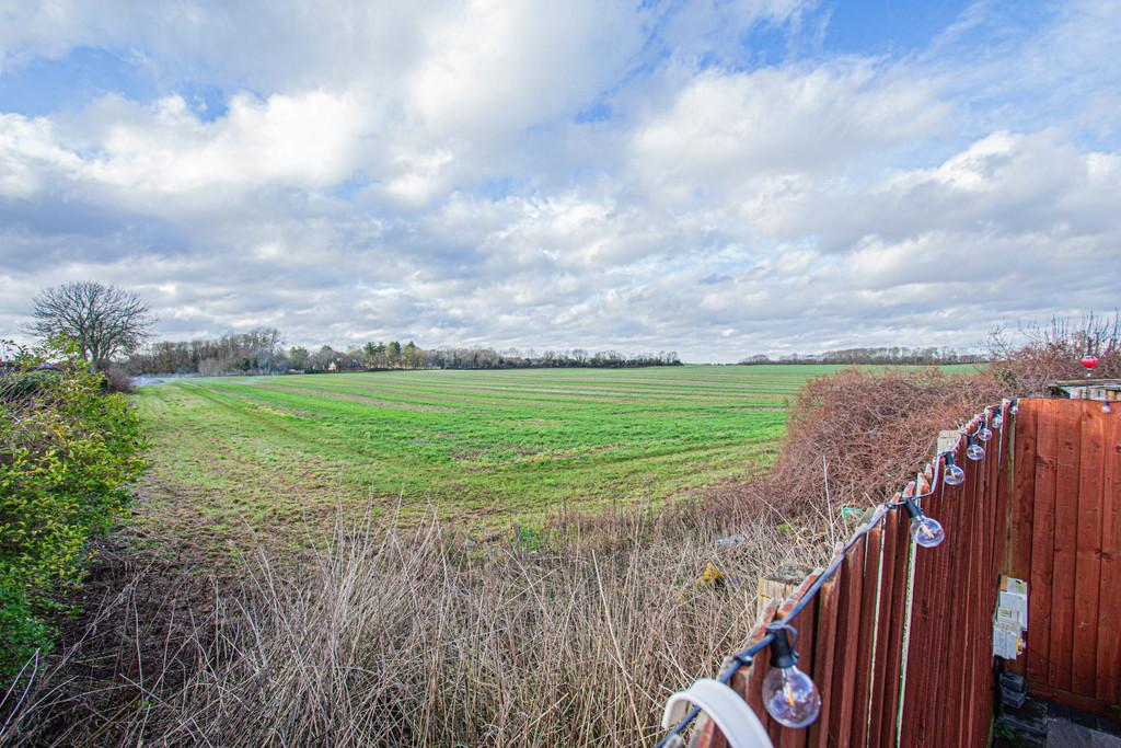 Fields Behind