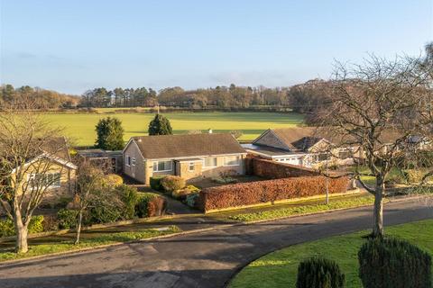 3 bedroom detached bungalow for sale - Crofts Avenue, Corbridge NE45
