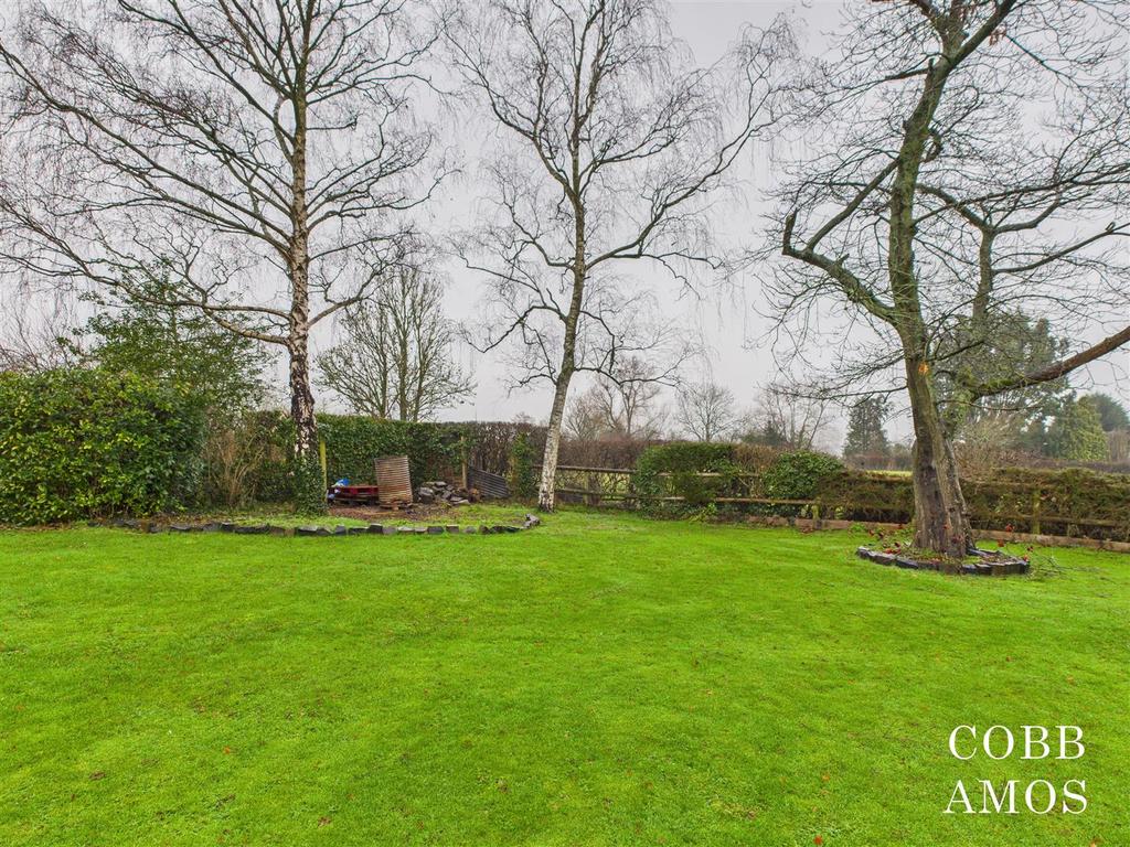 1. garden 5.jpg