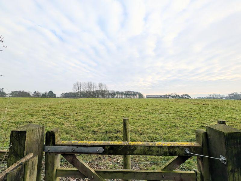 View from gate