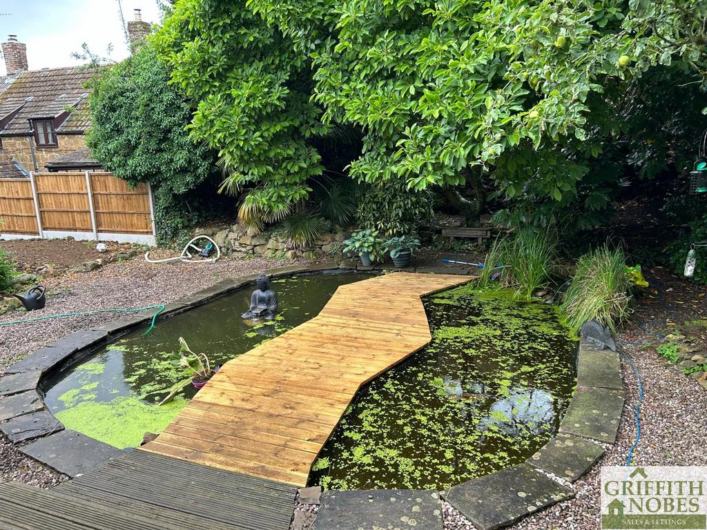 Pond