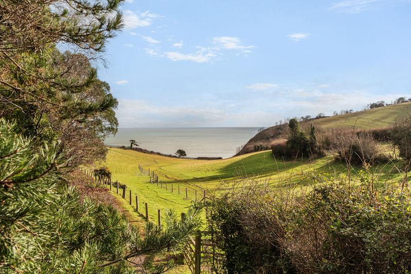 Nearby view