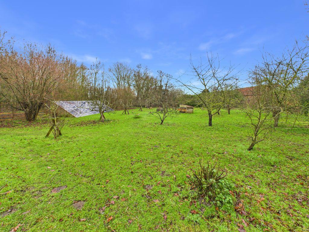 Orchard