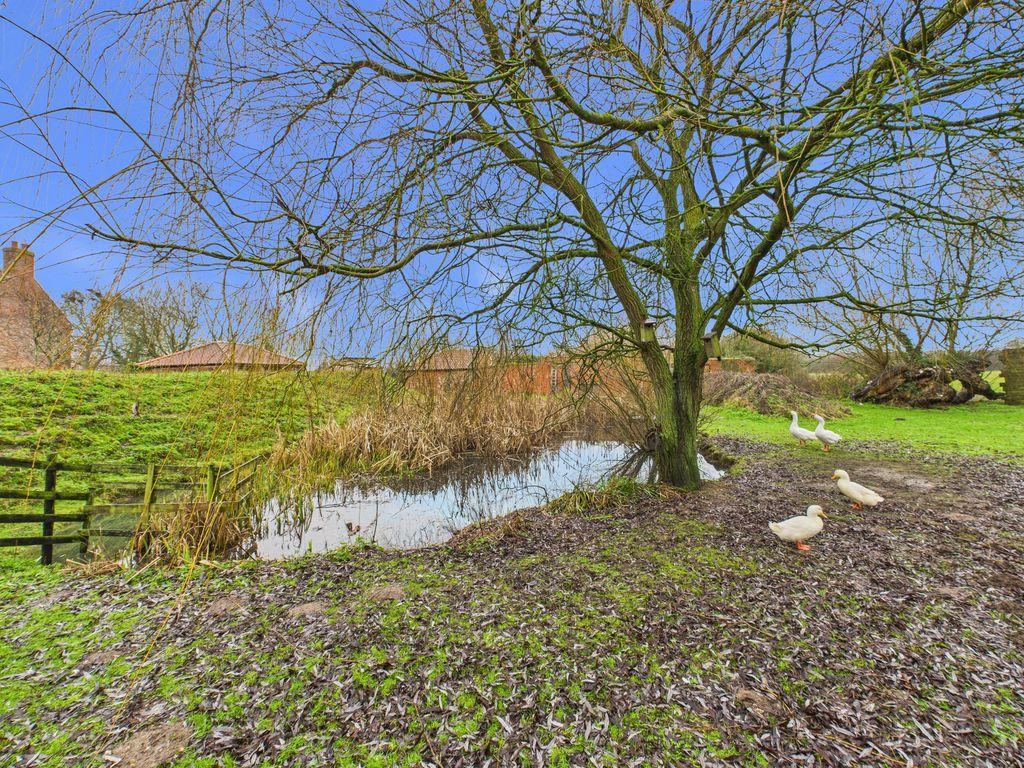 Pond &amp; Goat's Mound