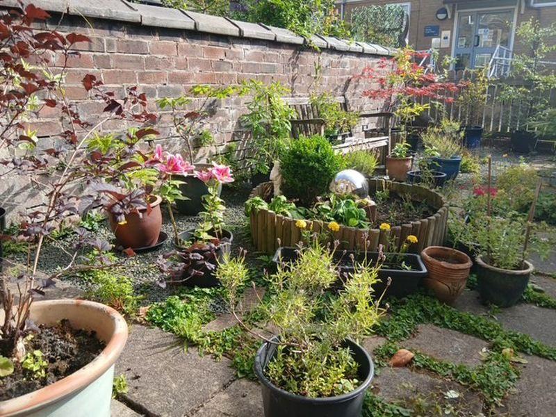 Water Feature