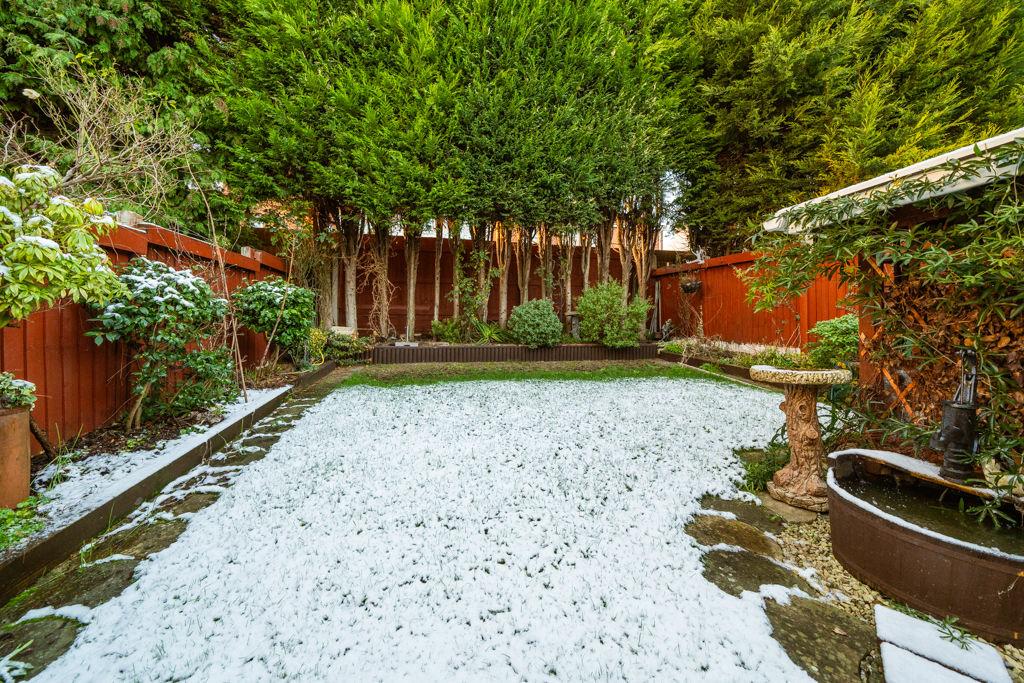 Rear garden