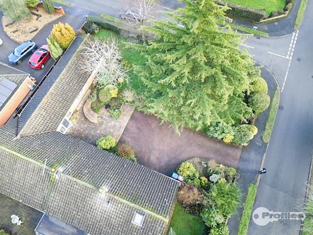 AERIAL2.jpg