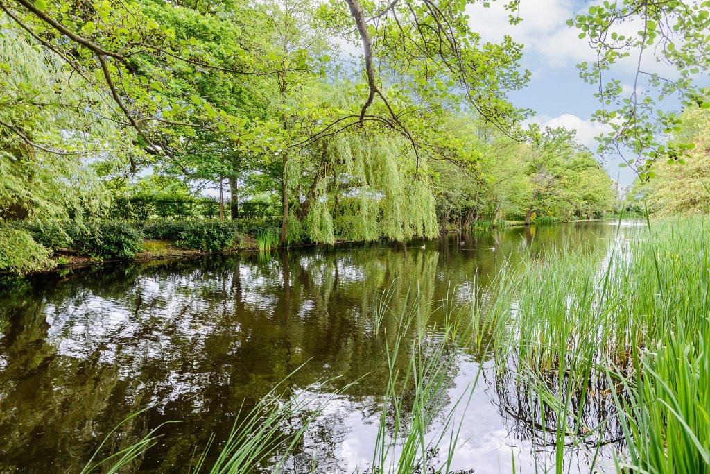 Communal Lake