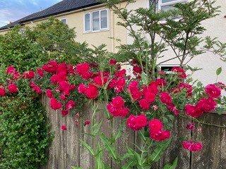 Brushford, Seddons