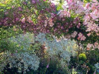 Brushford, Seddons