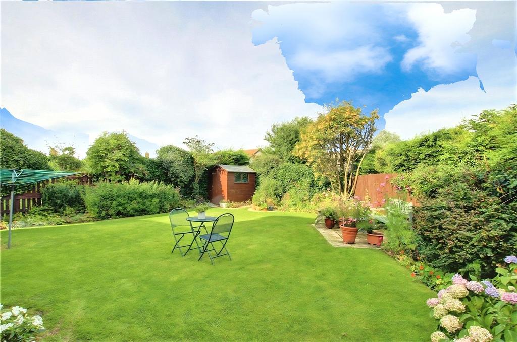 Garden In Summer