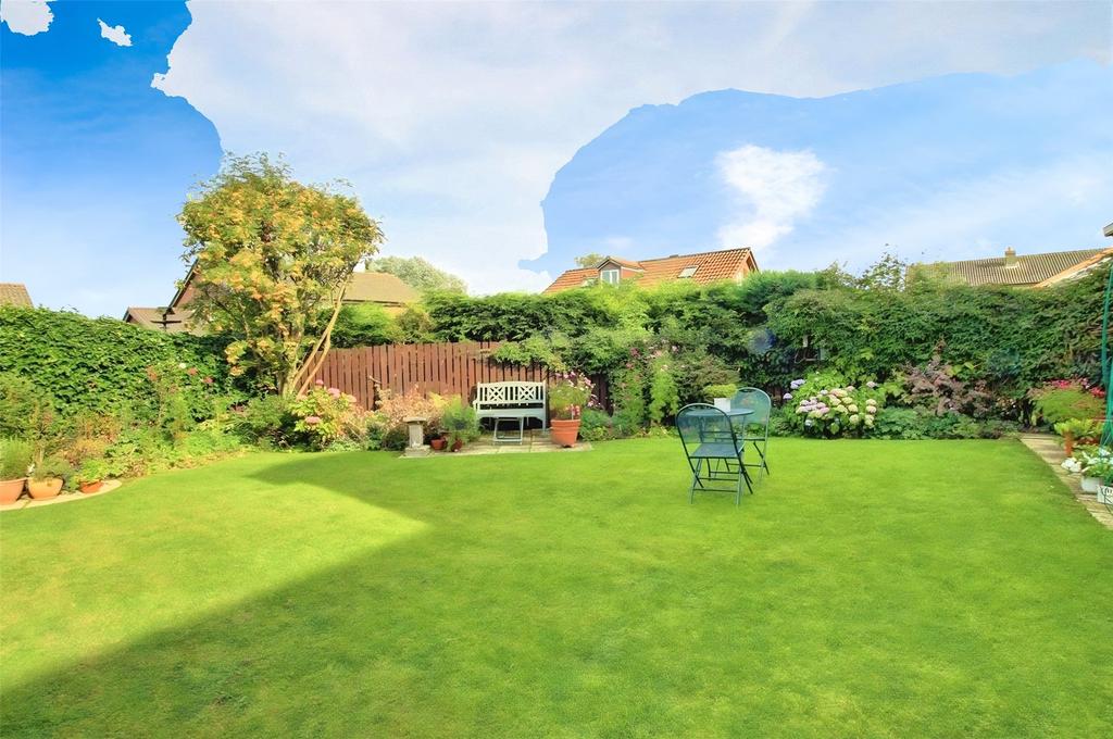 Garden In Summer