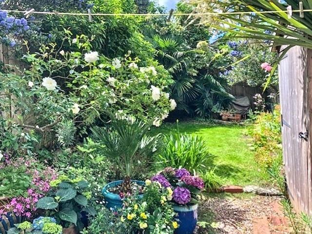 Lush, well-planted private garden with mature s...