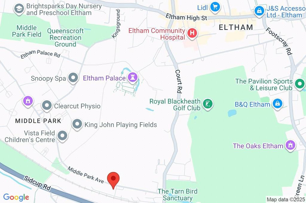 Google Maps Image