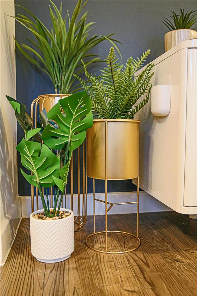 Plants Focus Shot.jpg