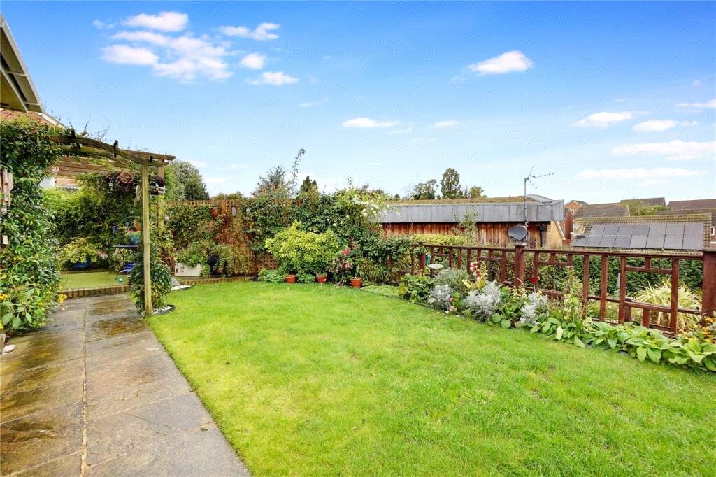 Summer Garden Photo