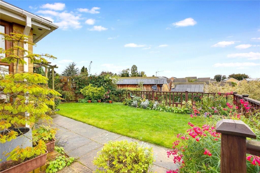 Summer Garden Photo