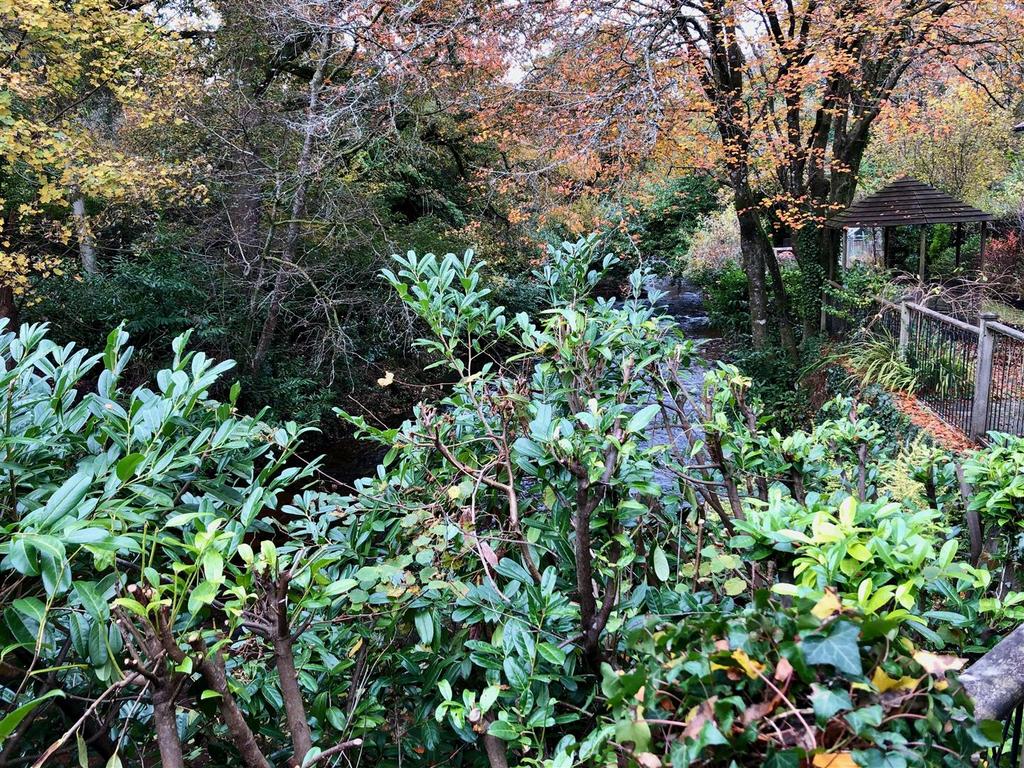 Bridge cottage - garden 3.jpeg
