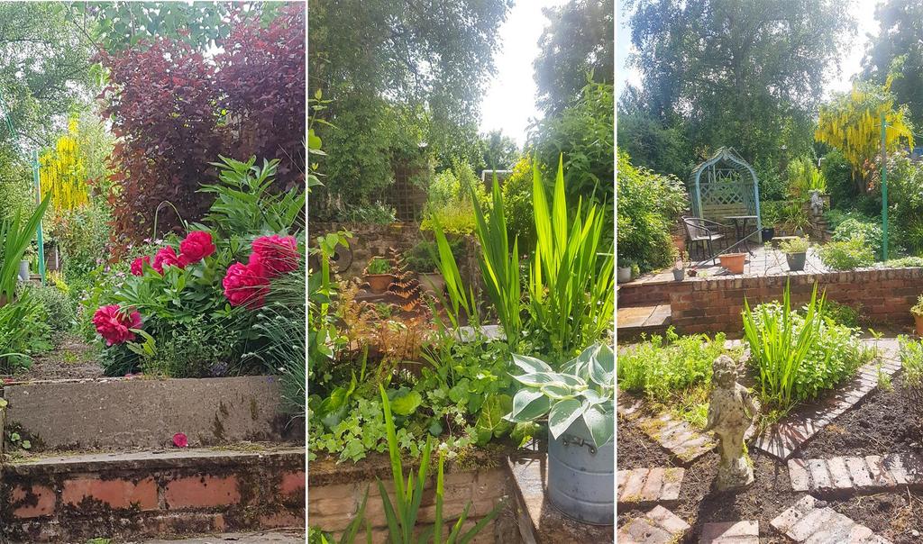Rear garden in bloom