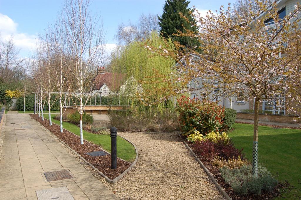 Communal Gardens
