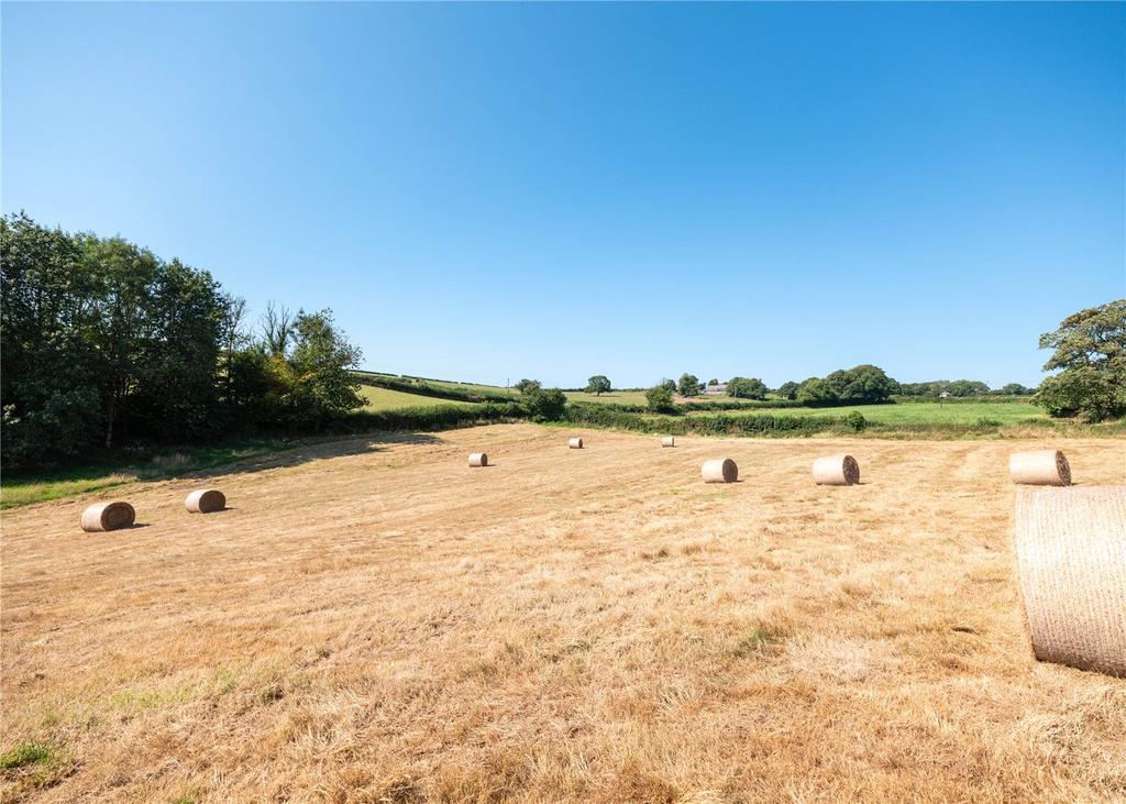 Pasture Land 1