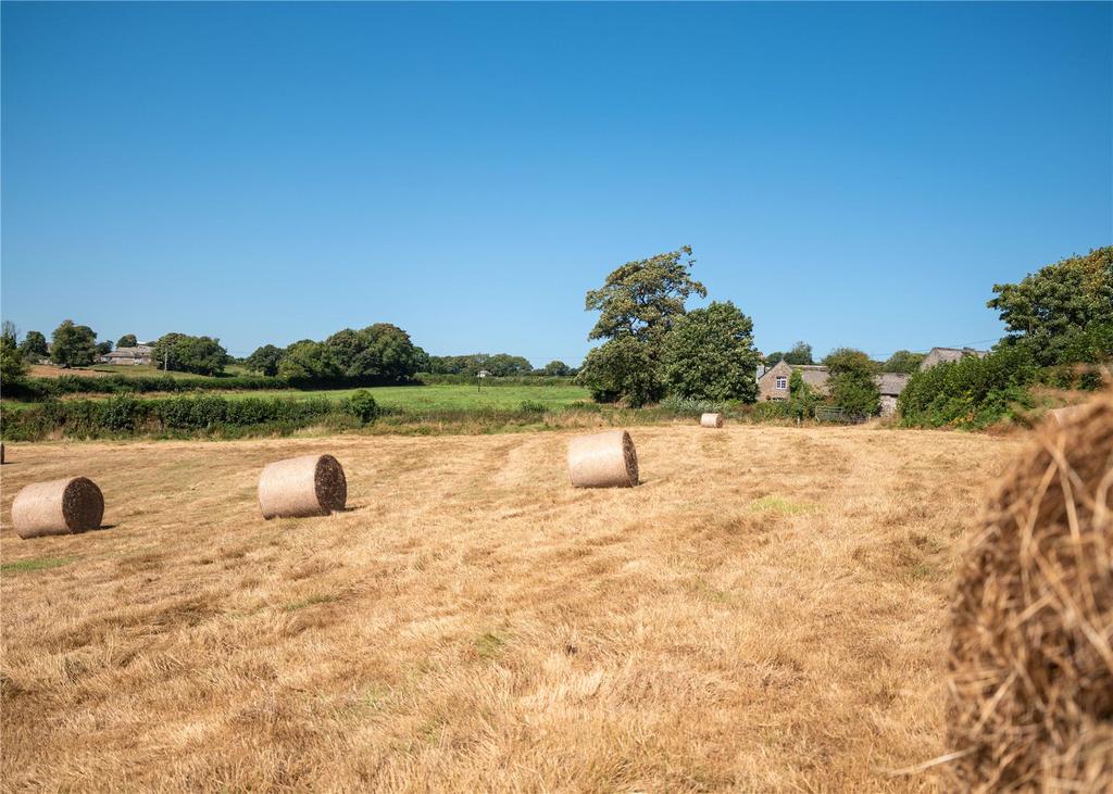 Pasture Land 2