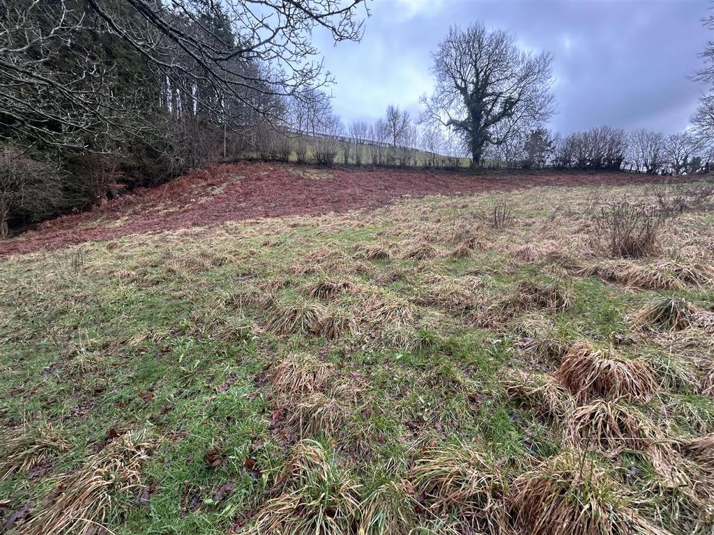 Land pic 2 .jpeg