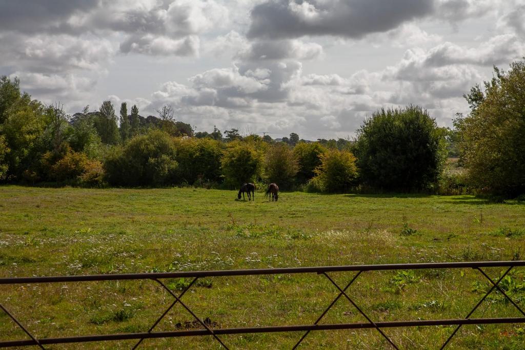 Knighton Farm-11.jpg