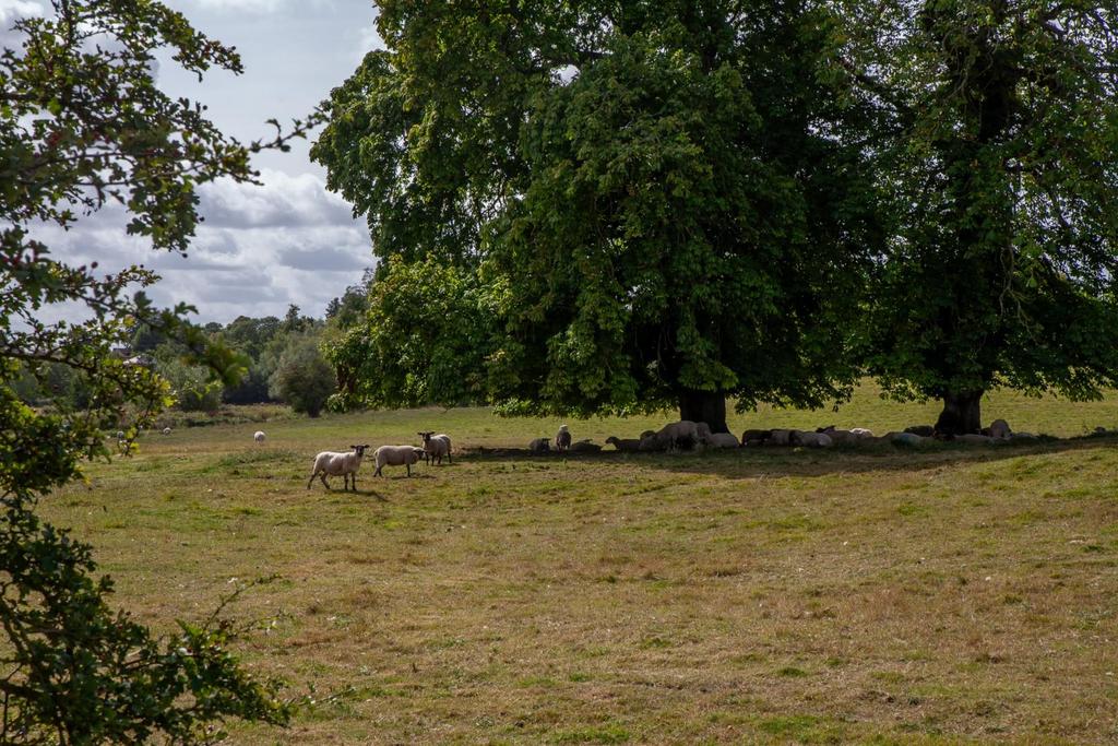Knighton Farm-35.jpg