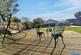 Additional image 17 of Moor View, North Tawton, Devon, EX20
