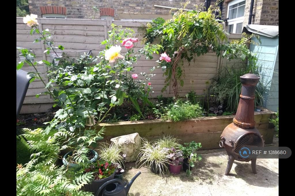 Side Garden