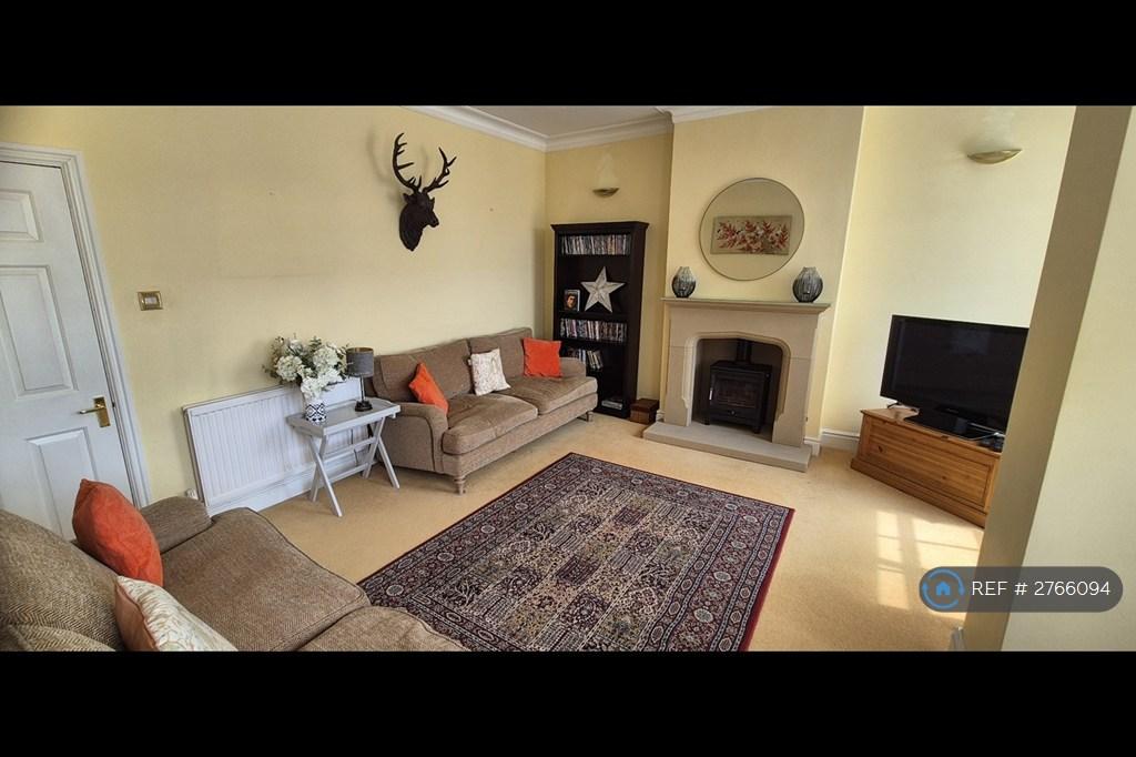 Lounge/ Log Burner