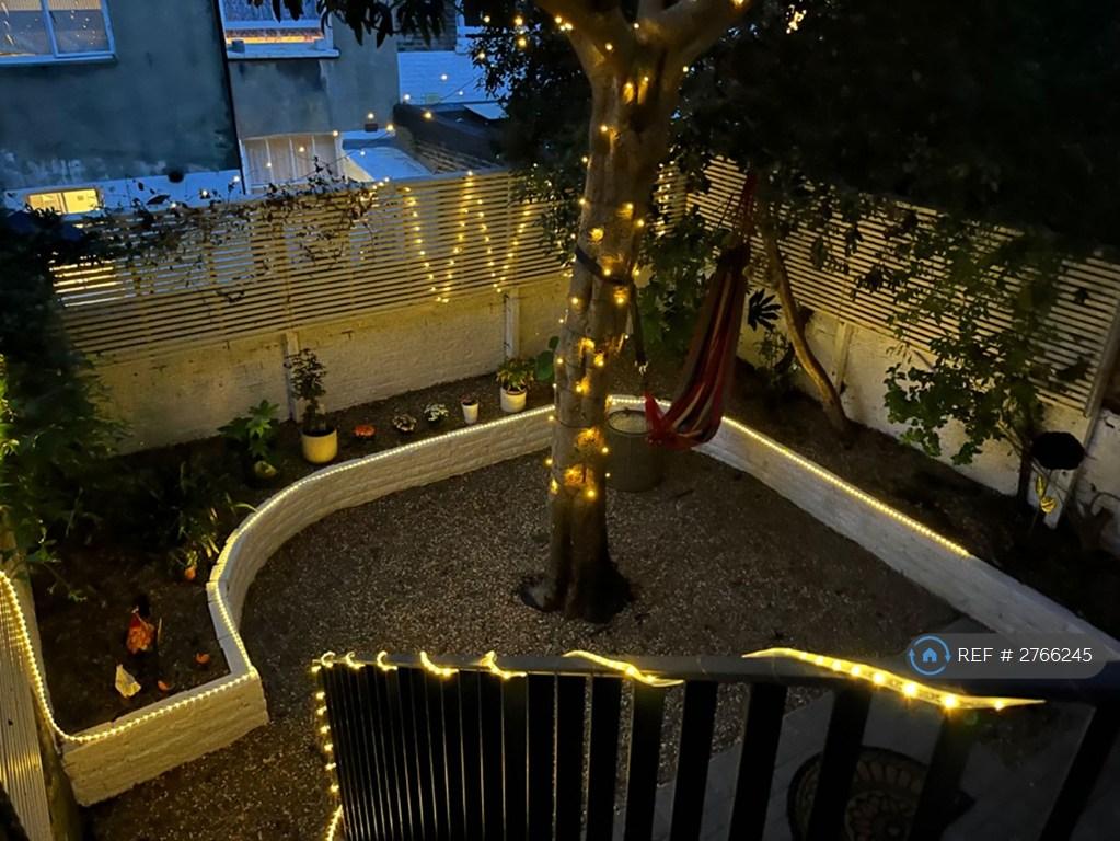 Garden At Night