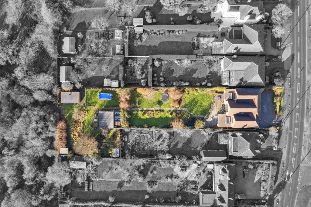 Aerial Shot