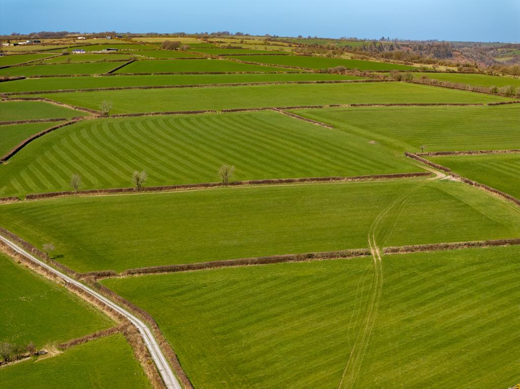 General