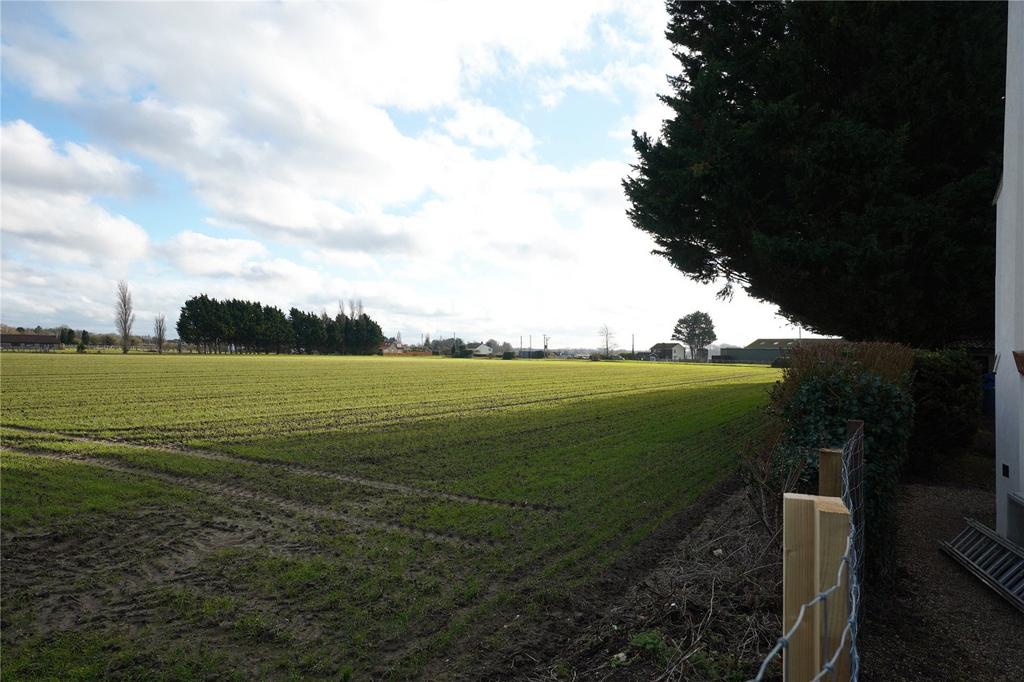 Picture No. 13