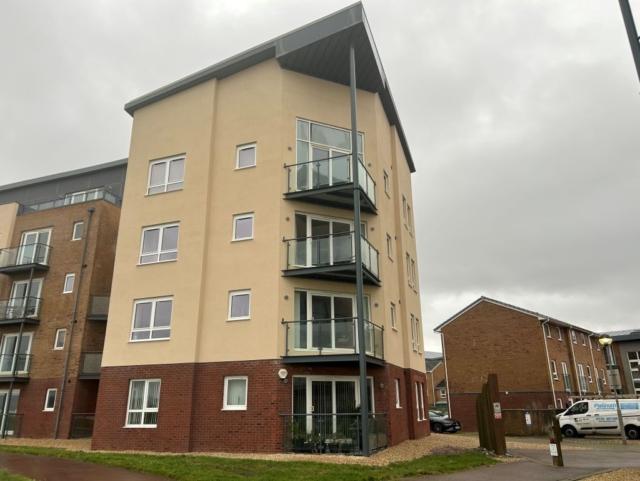 Front Picture