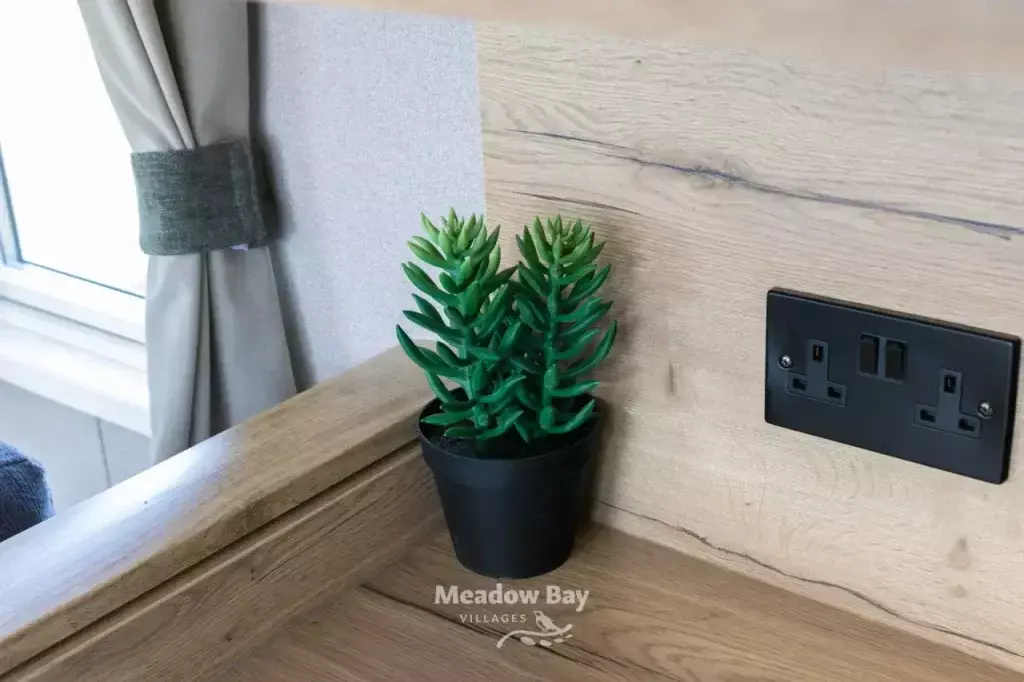 923a4672 Enhanced Nr.jpg