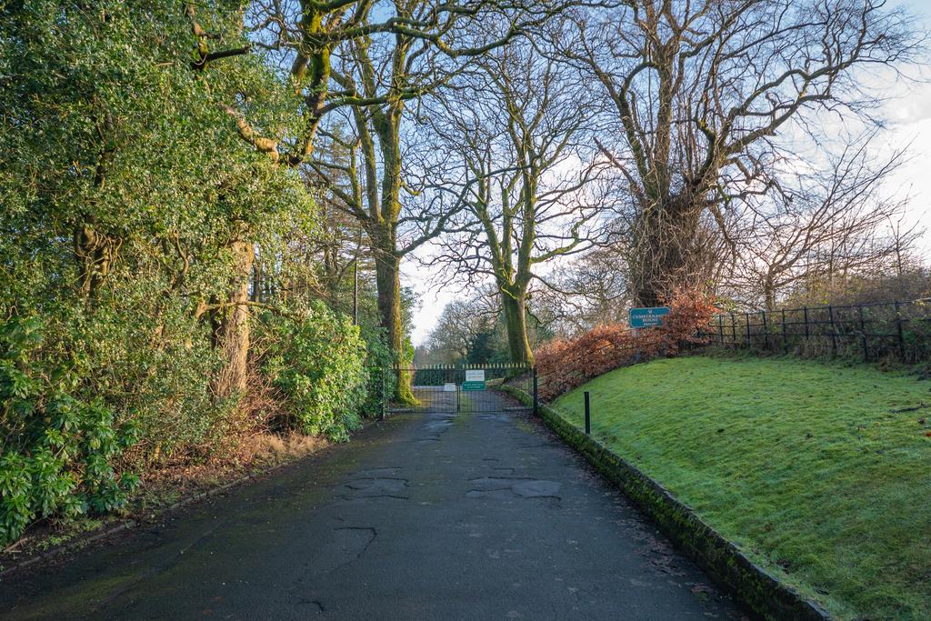 Driveway
