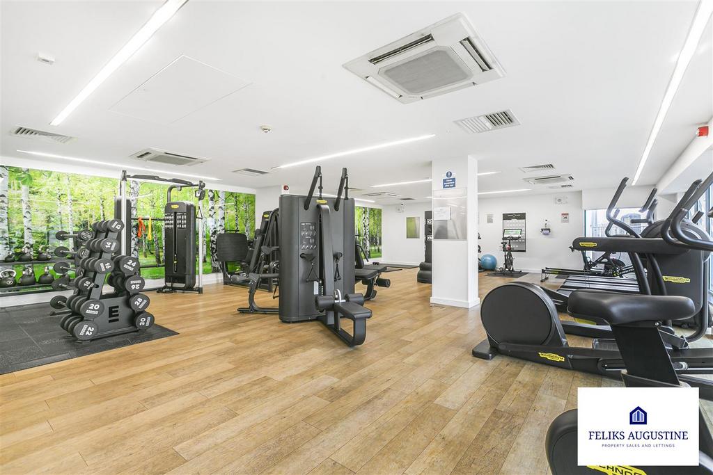 Building Gym 4.jpg