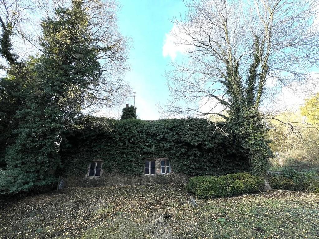 Img 2010