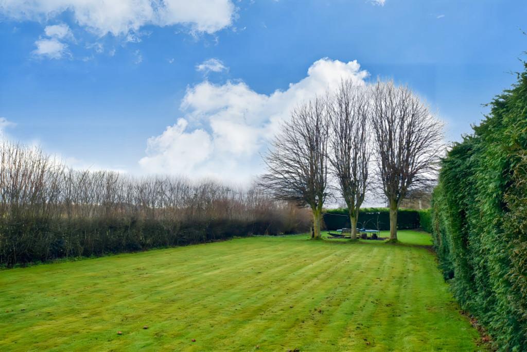 Rear Garden 2