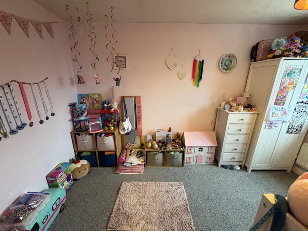 Img 0941