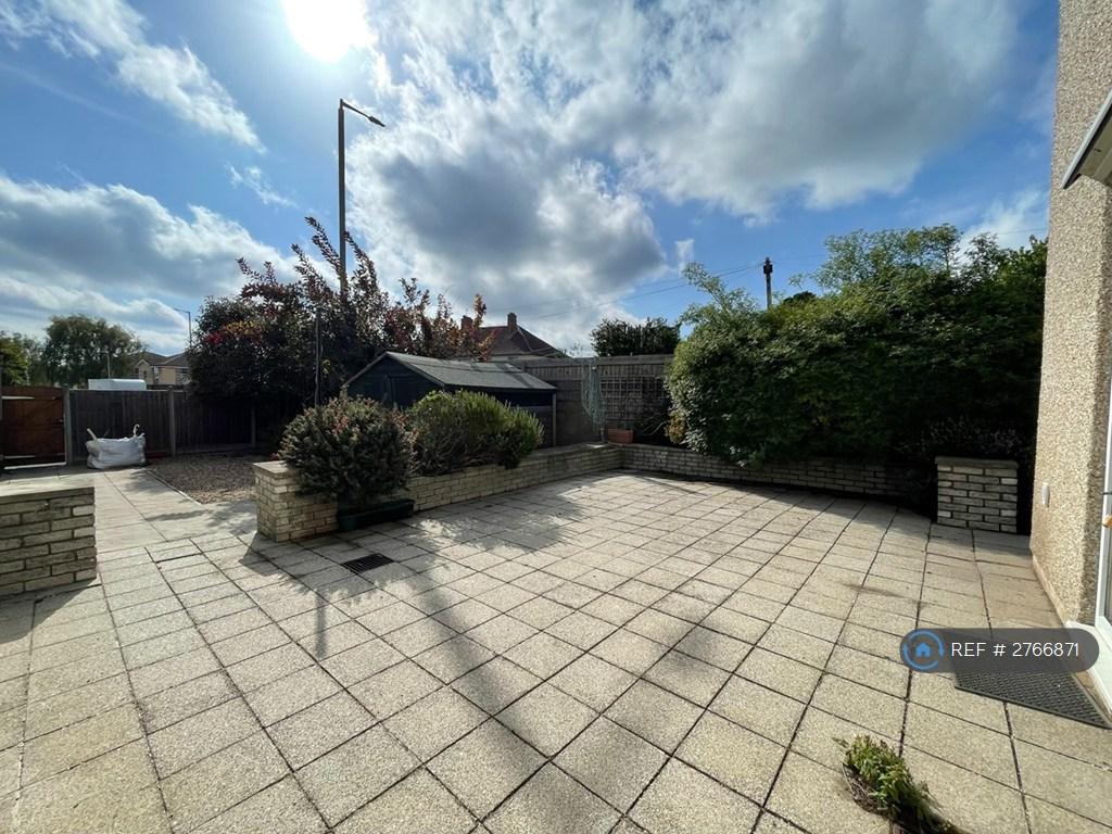 Back Garden
