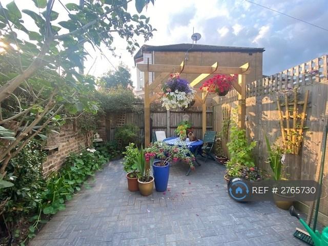 Garden View Last Summer