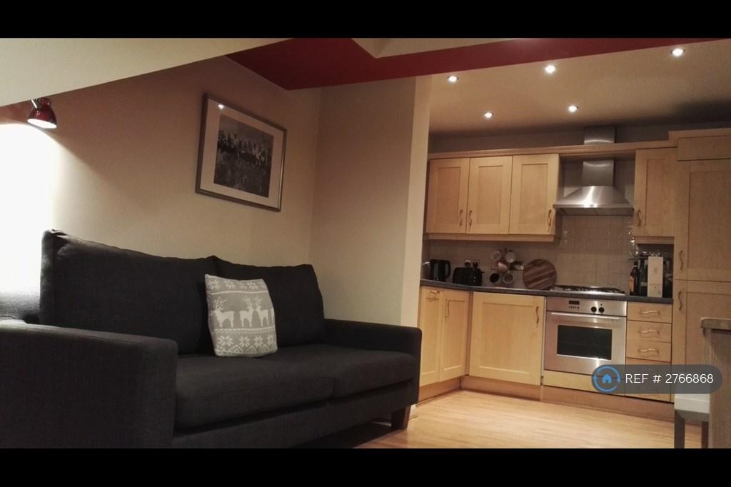 Living Room/Kitchen