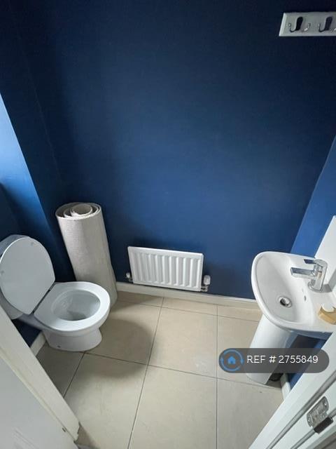 Down Stairs Bathroom