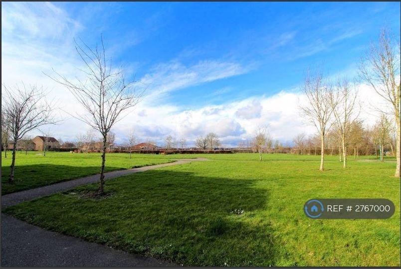 Park Behind Garden