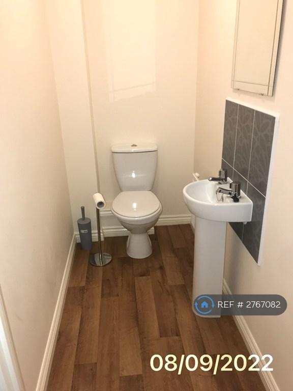 Downstairs Toilet